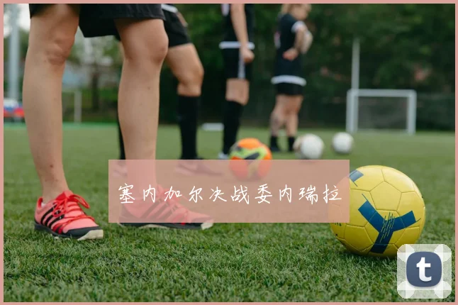 塞内加尔决战委内瑞拉