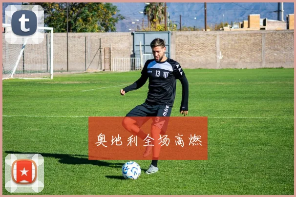 奥地利全场高燃
