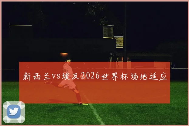 新西兰vs埃及2026世界杯场地适应