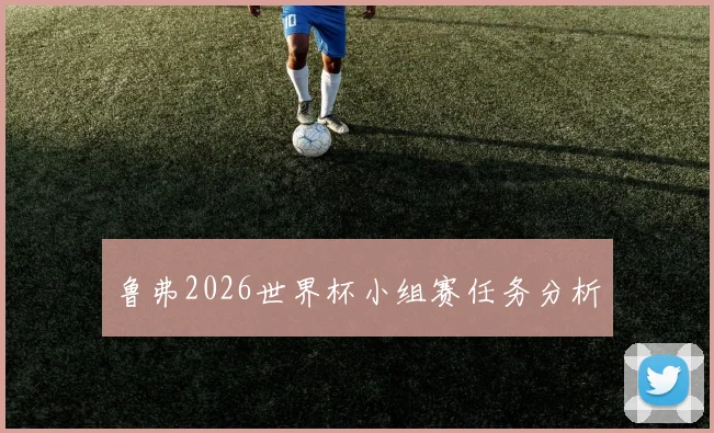 鲁弗2026世界杯小组赛任务分析