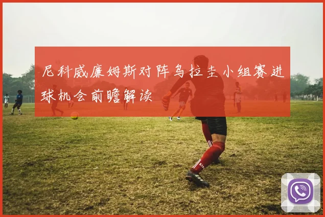 尼科威廉姆斯对阵乌拉圭小组赛进球机会前瞻解读