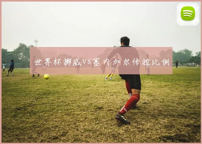 世界杯挪威vs塞内加尔传控比例